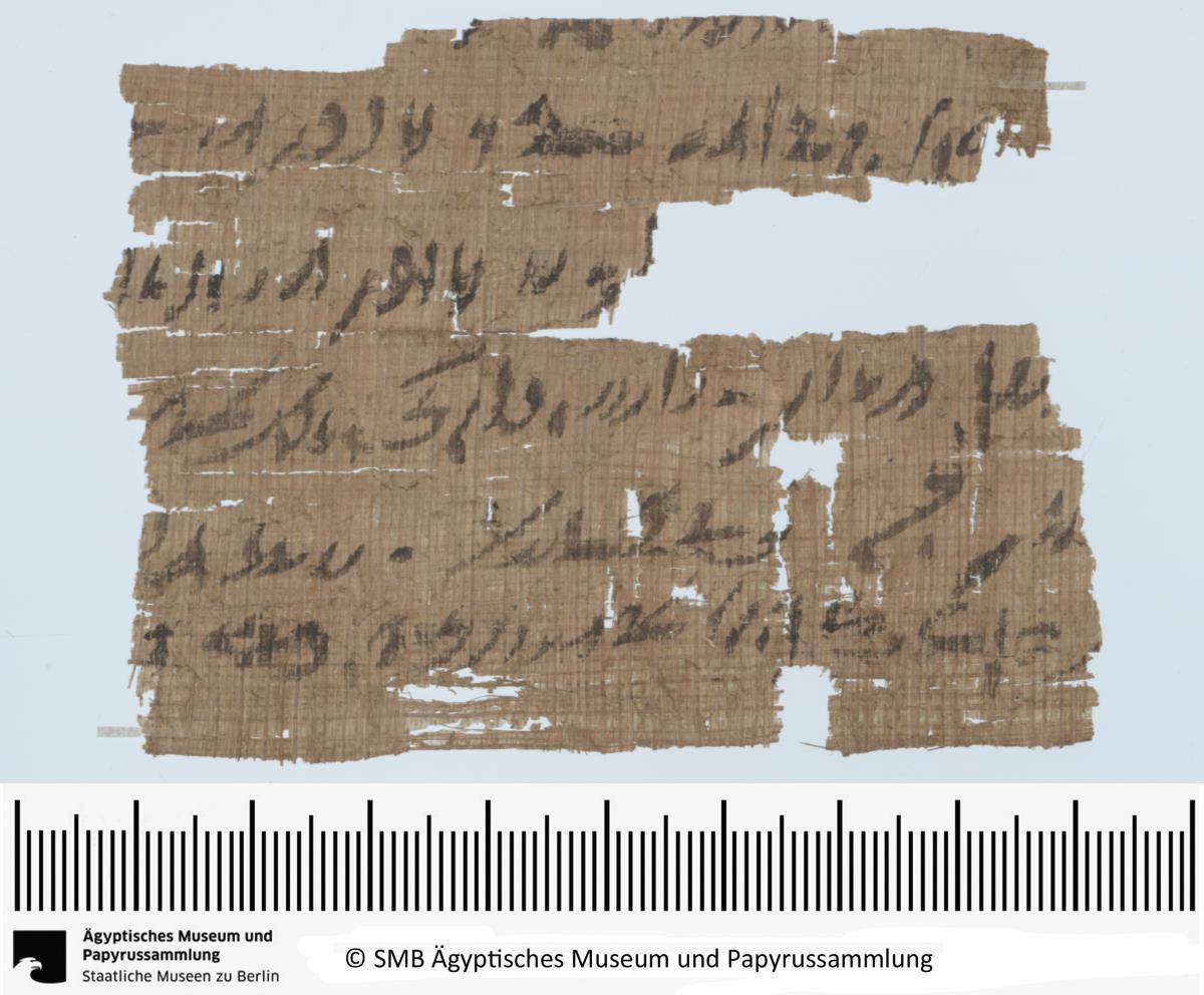 Demotischer Papyrus, Querformatbrief bzgl. eines Gartens