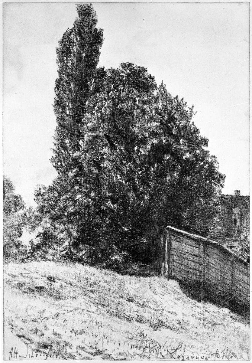 Hügel mit Bretterzaun, Baumgruppe und Haus (Villa Lazarus) in Alt Schönefeld bei Leipzig