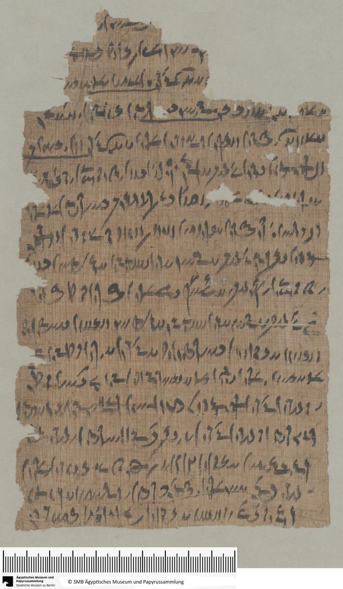 Demotischer Papyrus, Hochformatbrief, Aufforderung zu Untersuchung unter Priestern