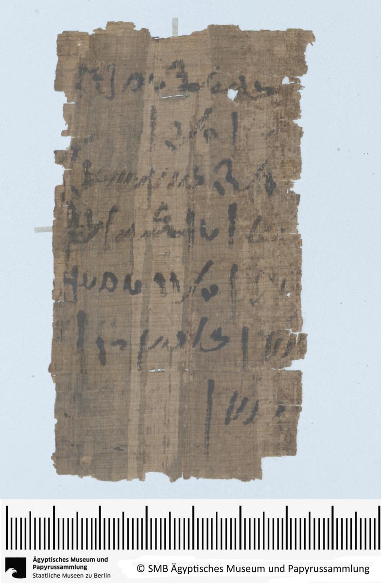 Demotischer Papyrus, Abrechnung über Lieferung von 7 Rindern (?)