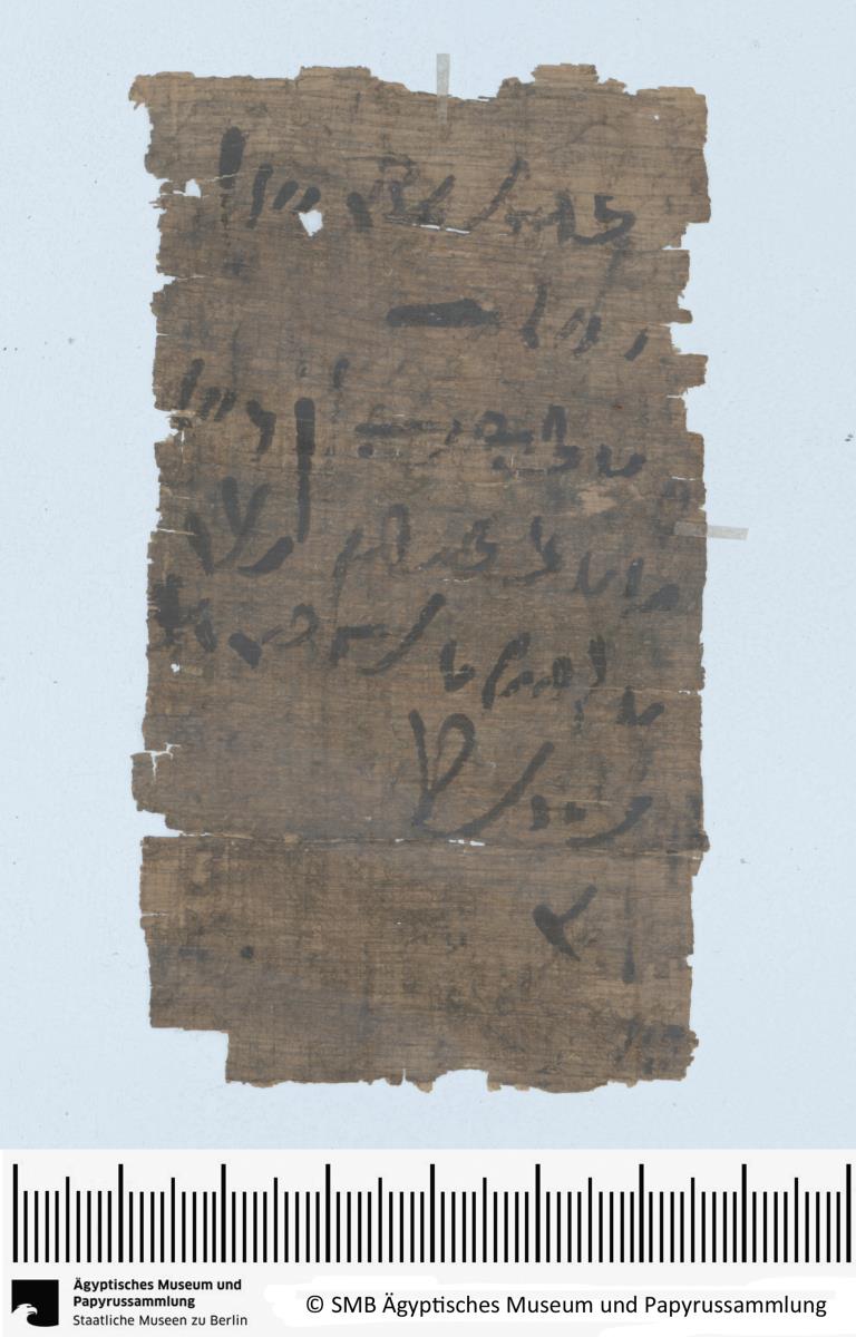 Demotischer Papyrus, Abrechnung über Lieferung von 7 Rindern (?)