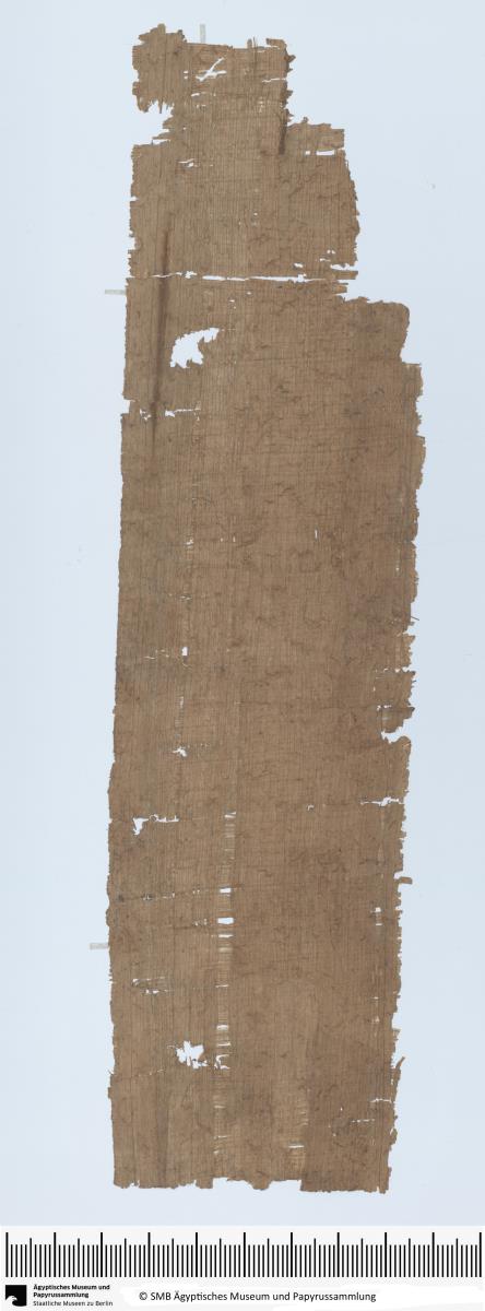 Demotischer Papyrus, Hochformatbrief