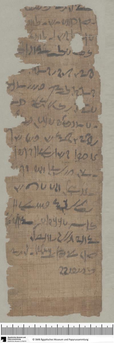 Demotischer Papyrus, Abrechnung, Zuteilung von Emmer