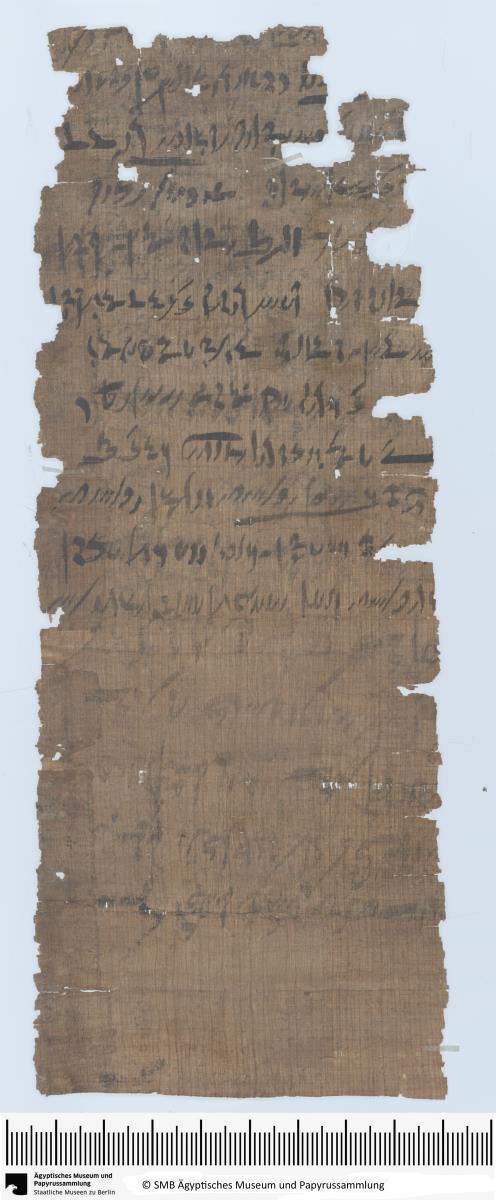 Demotischer Papyrus, Hochformatbrief, erwähnt Kommen von 200 Äthiopiern