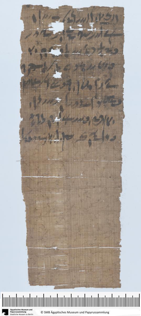 Demotischer Papyrus, Hochformatbrief, Vorhersage des Einkerkerns einiger Leute