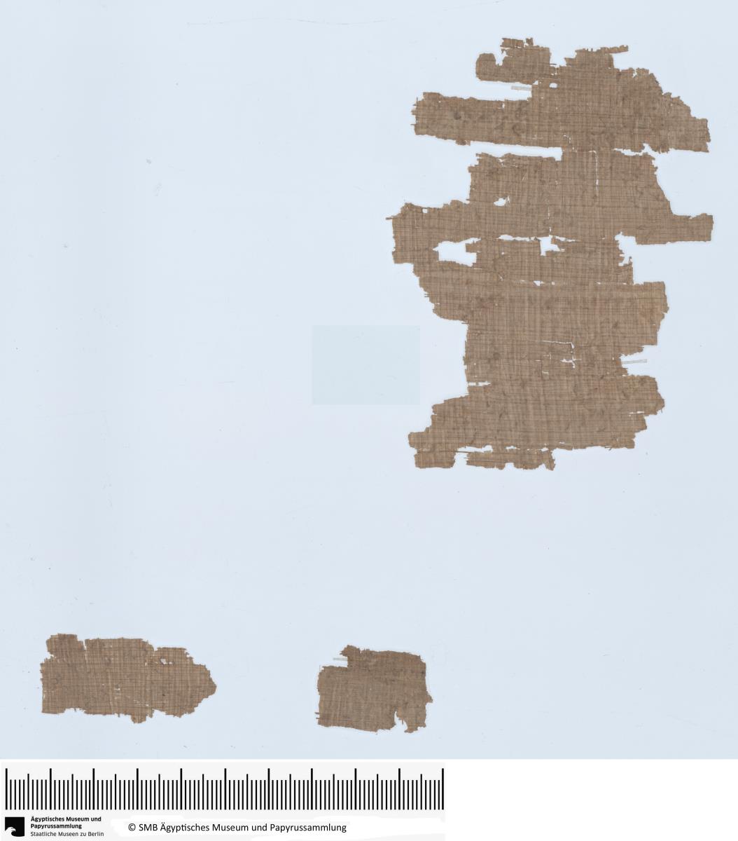 Aramäischer Papyrus, Vertrag