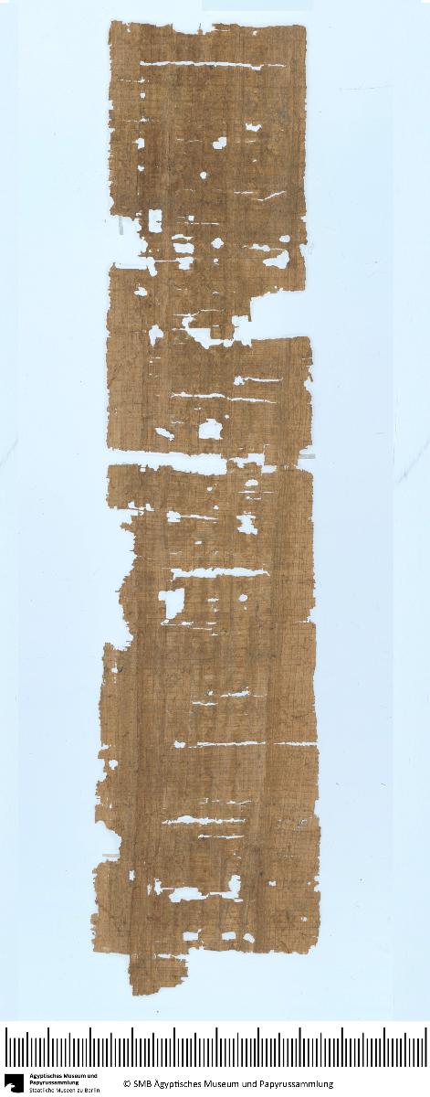 Demotischer Papyrus, Hochformatbrief bzgl. Orakel zu einer Reise