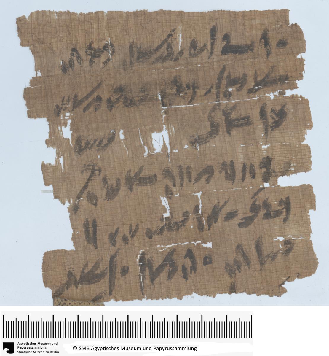 Demotischer Papyrus, Hochformatbrief, Lieferung von tgm-Öl und Bezahlung