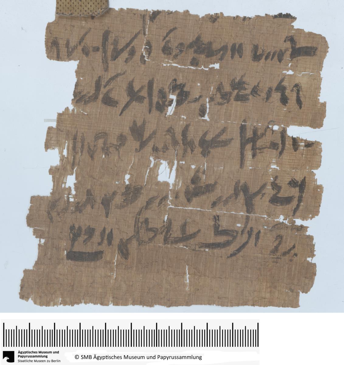Demotischer Papyrus, Hochformatbrief, Lieferung von tgm-Öl und Bezahlung