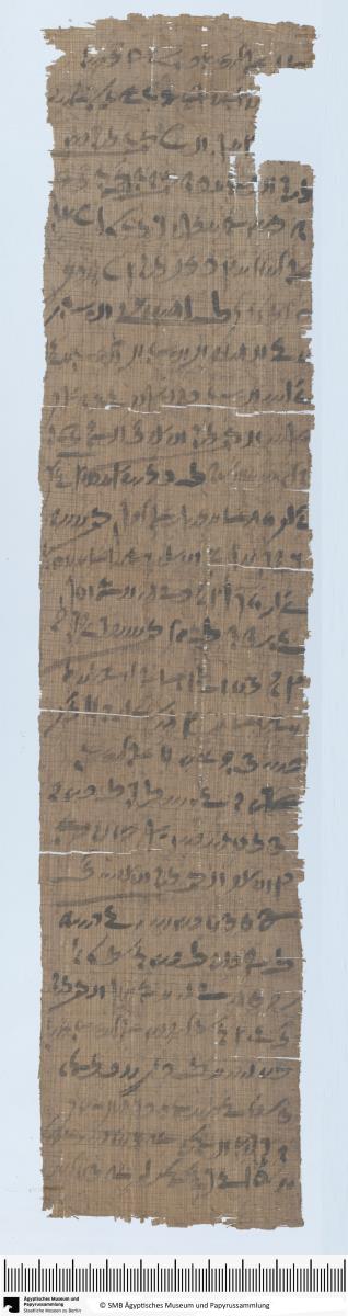Demotischer Papyrus, Hochformatbrief, Streitigkeiten bei Austeilung von Weizen