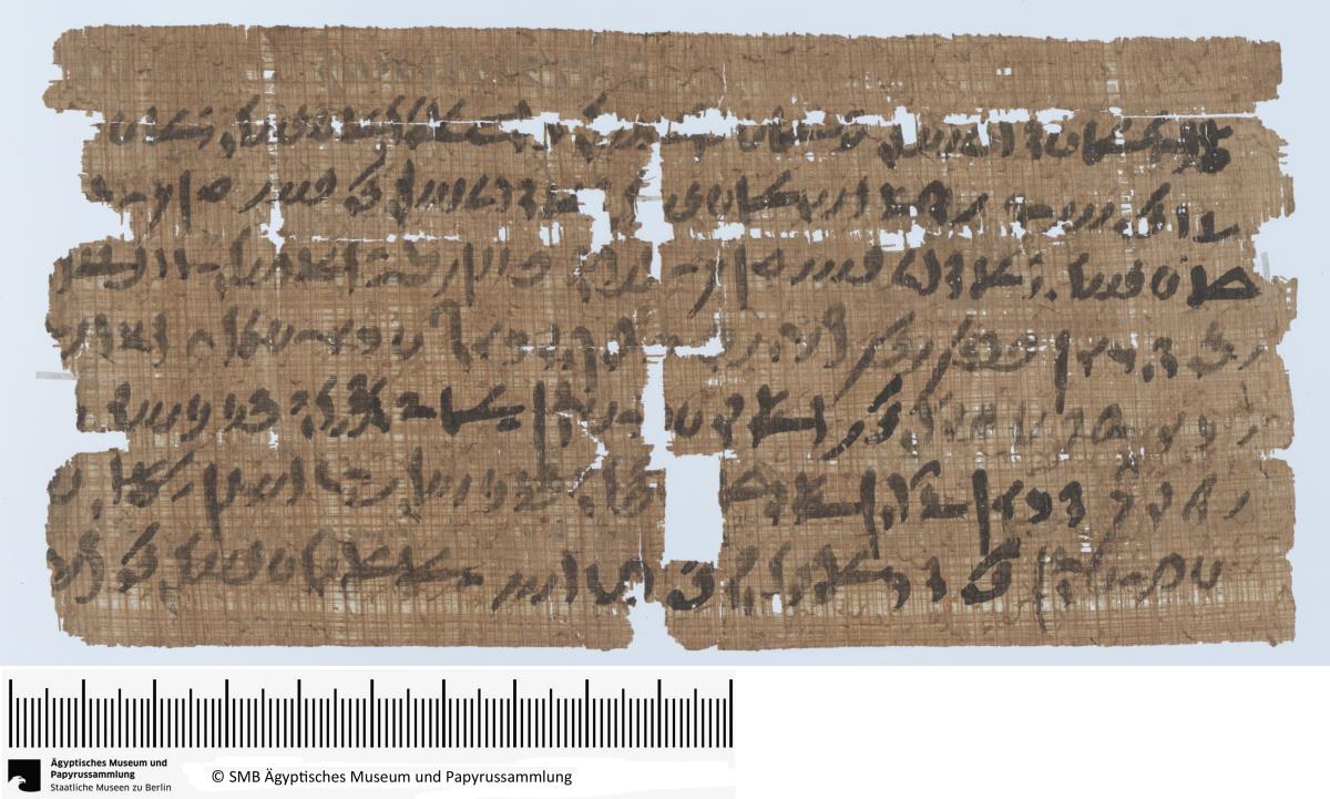 Demotischer Papyrus, Querformatbrief (Korrespondenz Espnebonchis, Sohn des Espneti-hetnetjer), Anweisung zur Verteilung von Broten unter den Priestern