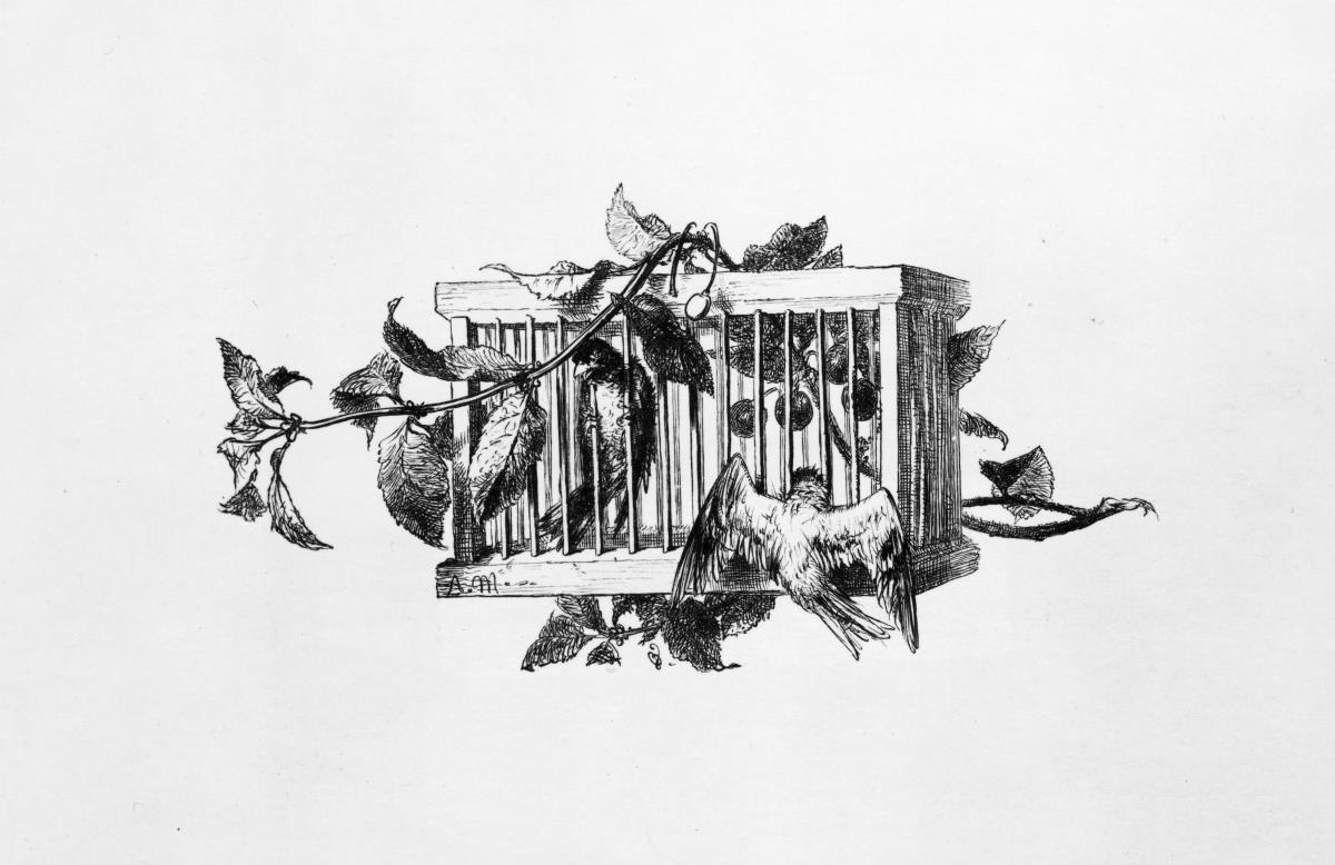Vogelkäfig mit Kirschzweig, Illustration zu den "Werken Friedrich des Großen"