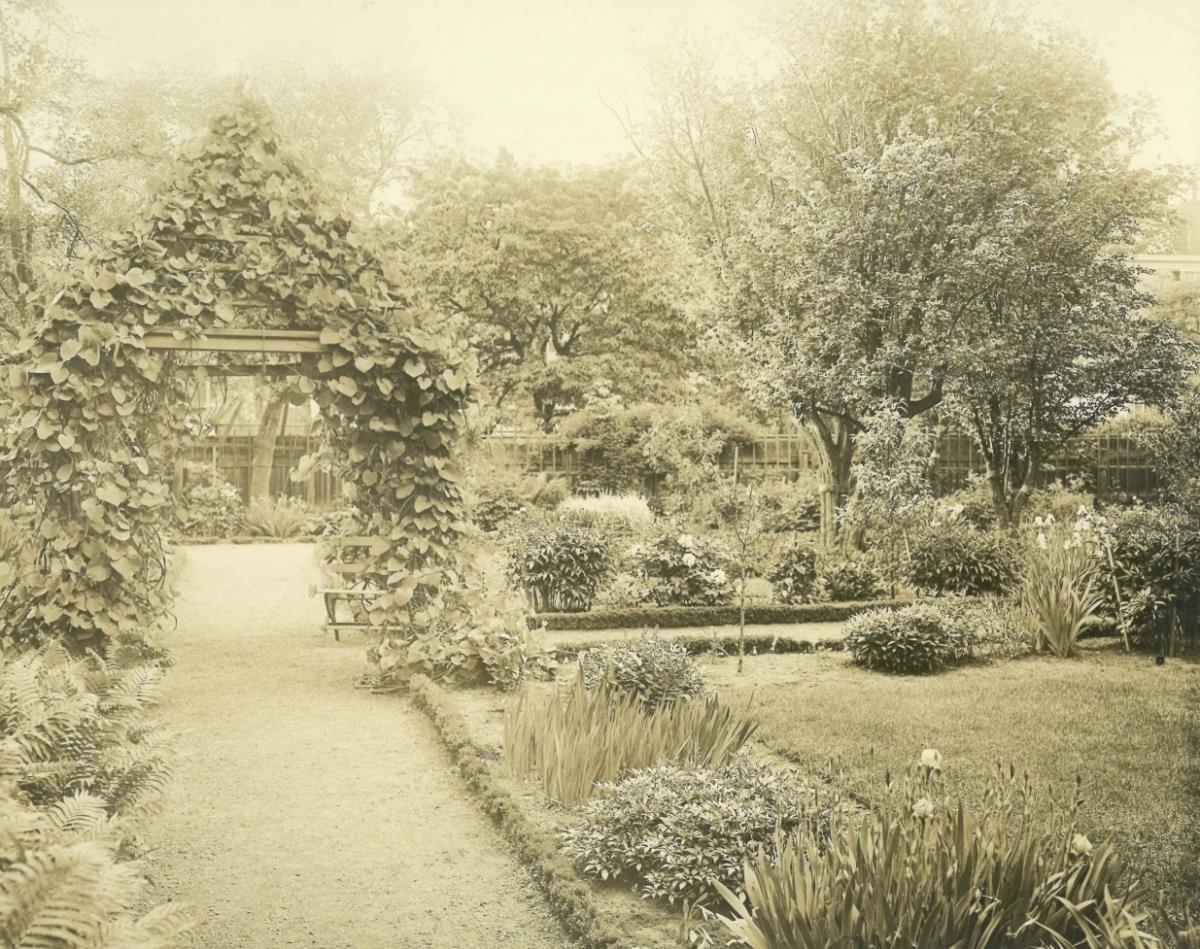 Salem, Garten: Privatgarten an der Chestnutstreet