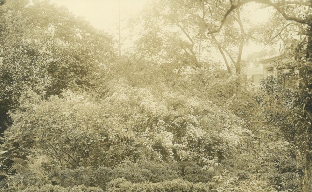 Salem, Garten: Frank Cousins-Garden