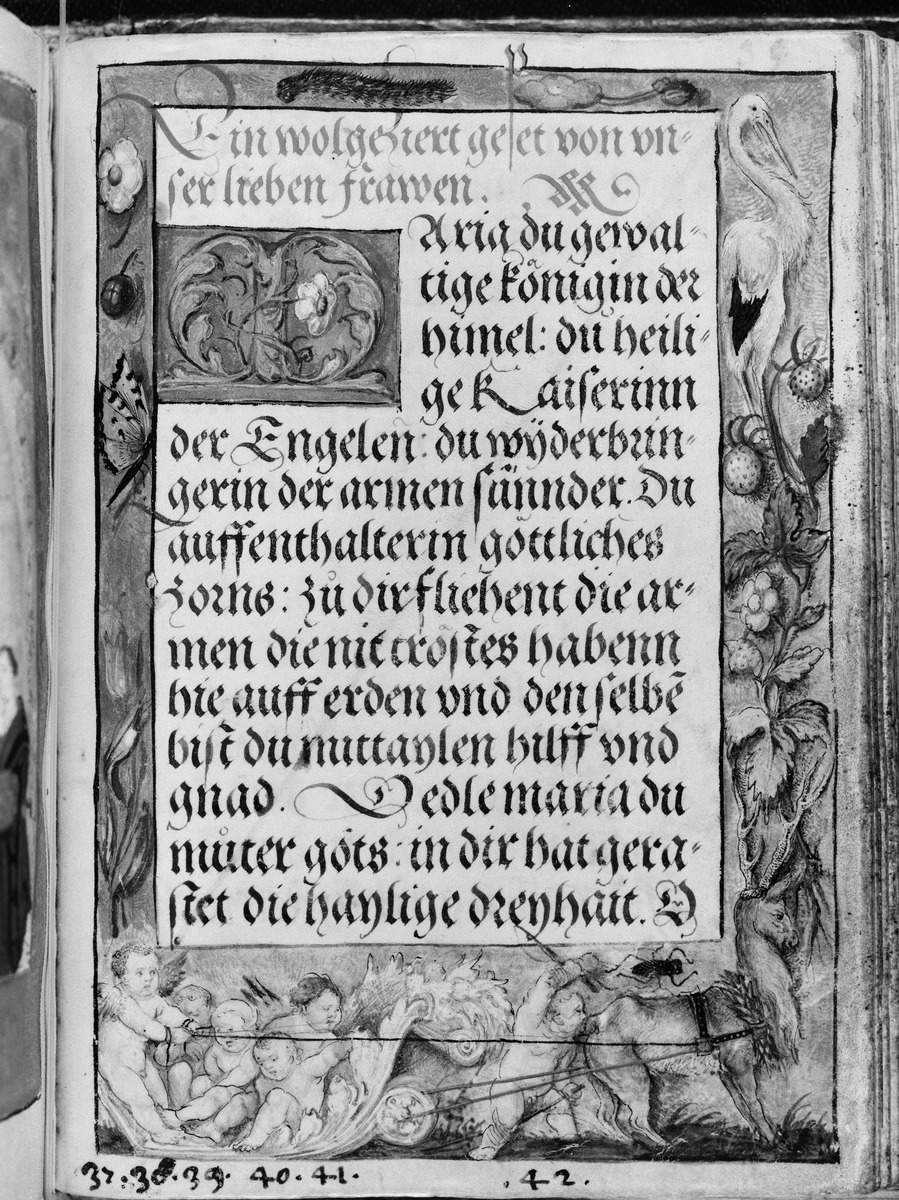 Gebetbuch des Matthäus Schwarz. Textseite, in der Umrandung sechs Putti, numeriert 37-42, sowie Storch, Schmetterling, Blumen, Pflanzen und Früchte