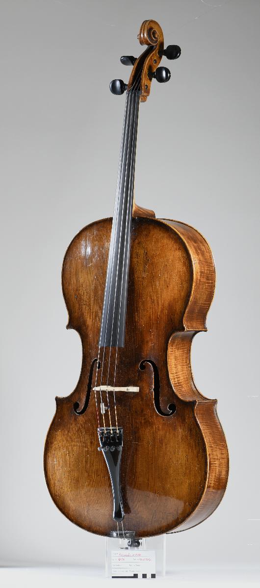 Violoncello