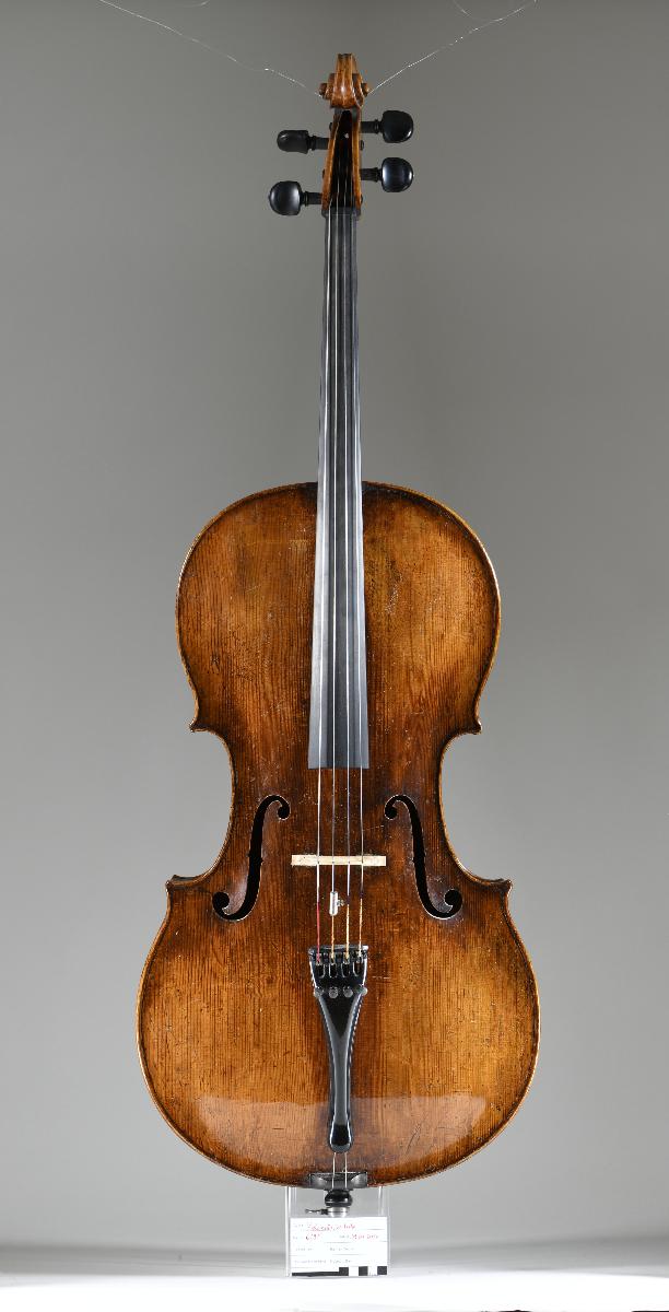 Violoncello