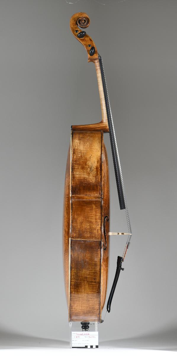 Violoncello