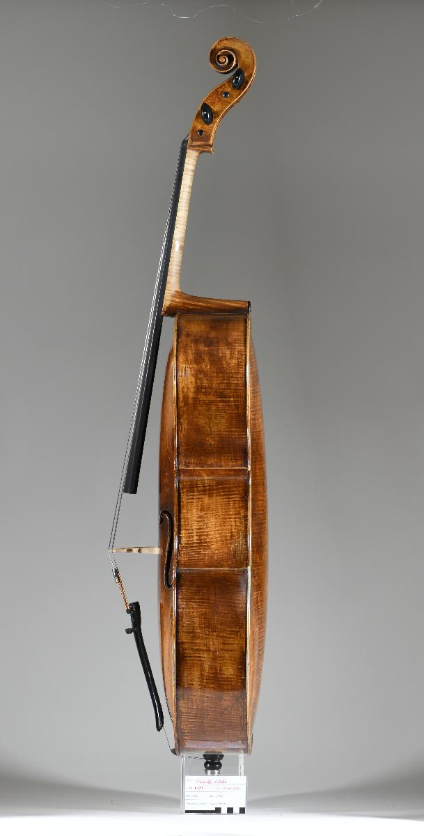 Violoncello