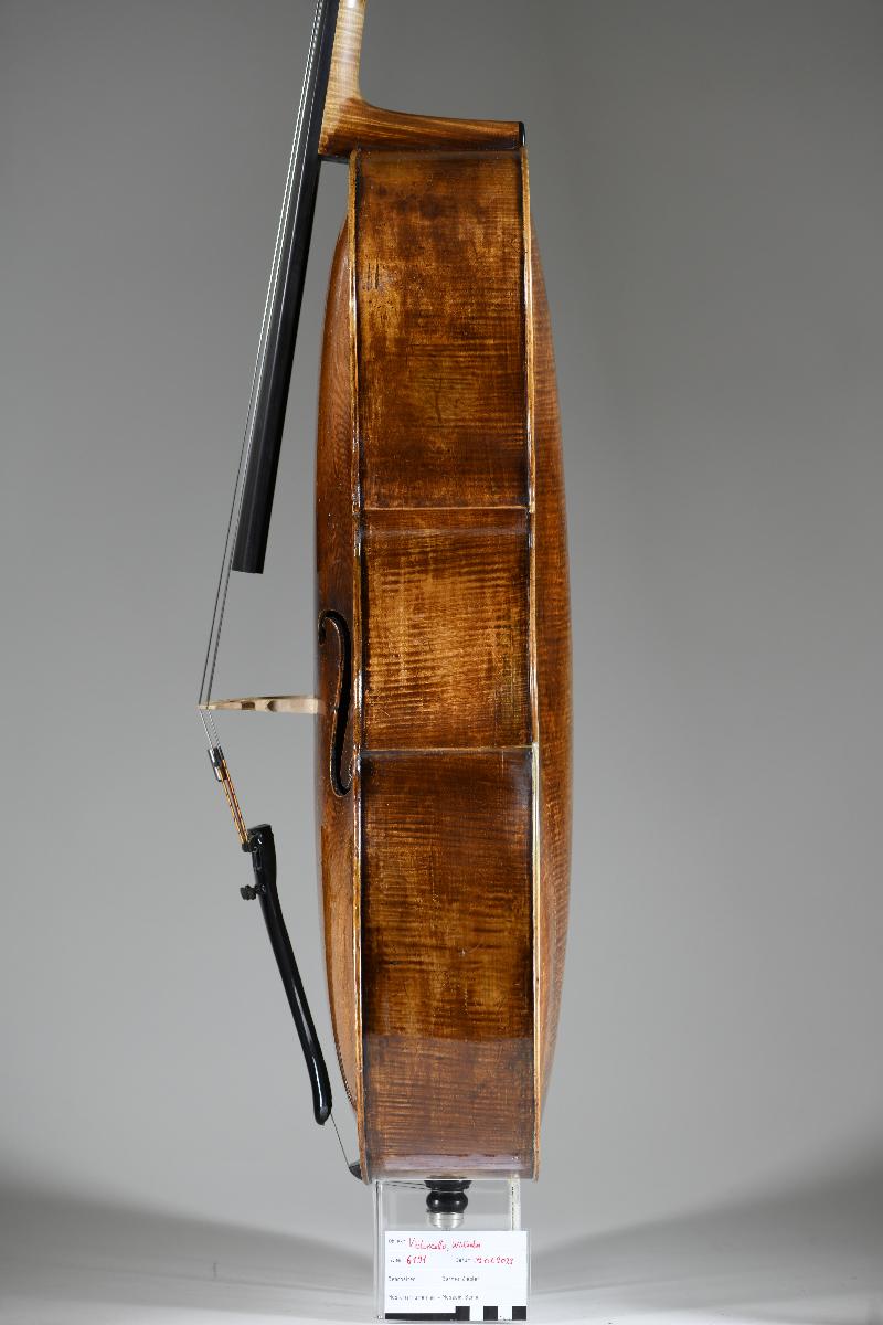 Violoncello