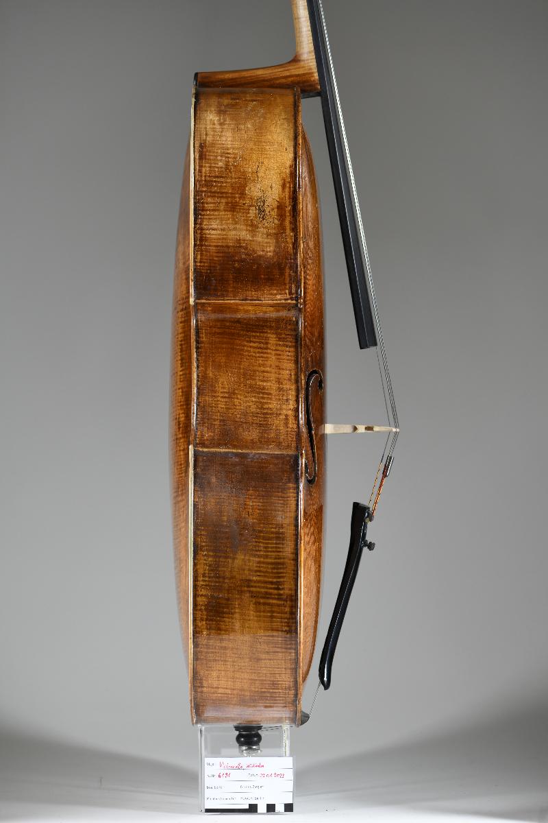 Violoncello
