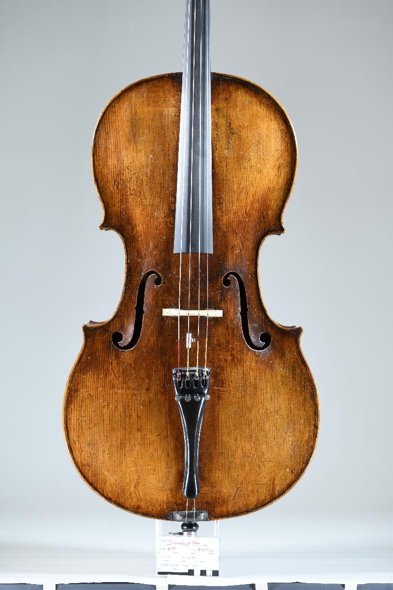 Violoncello