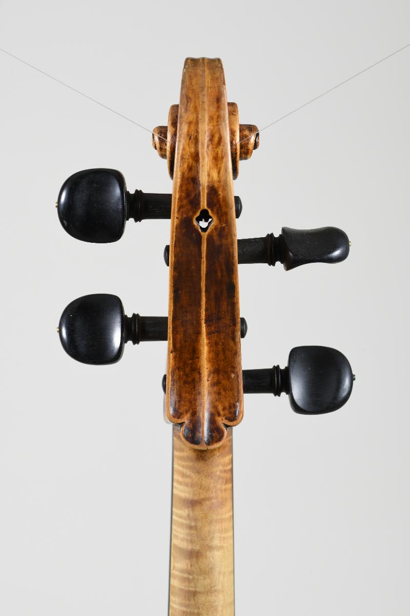 Violoncello