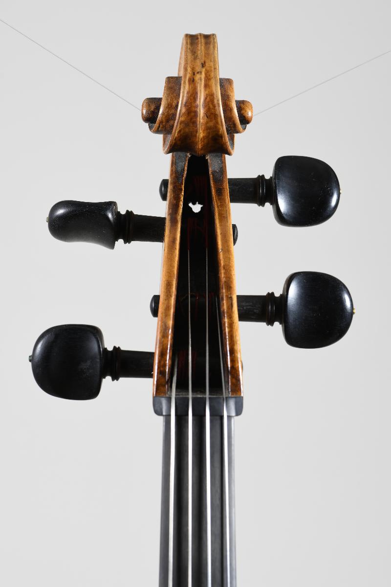 Violoncello