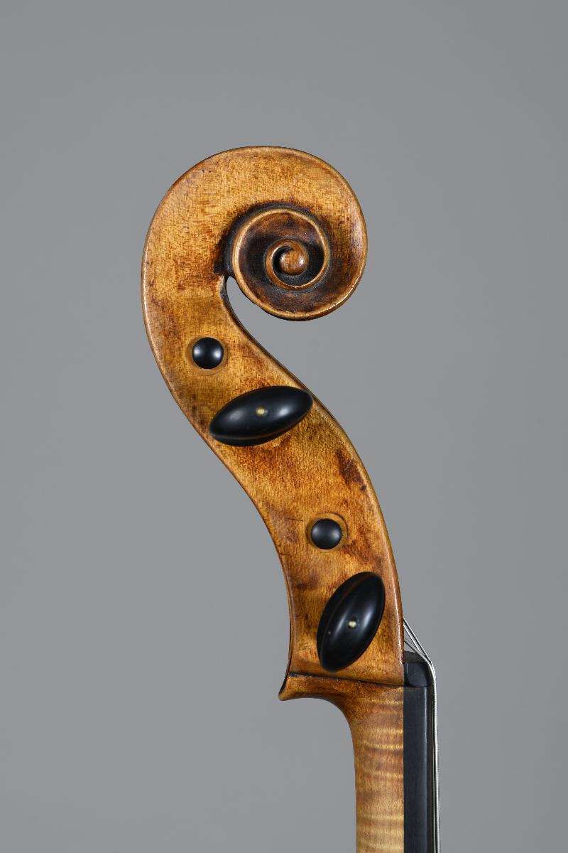 Violoncello