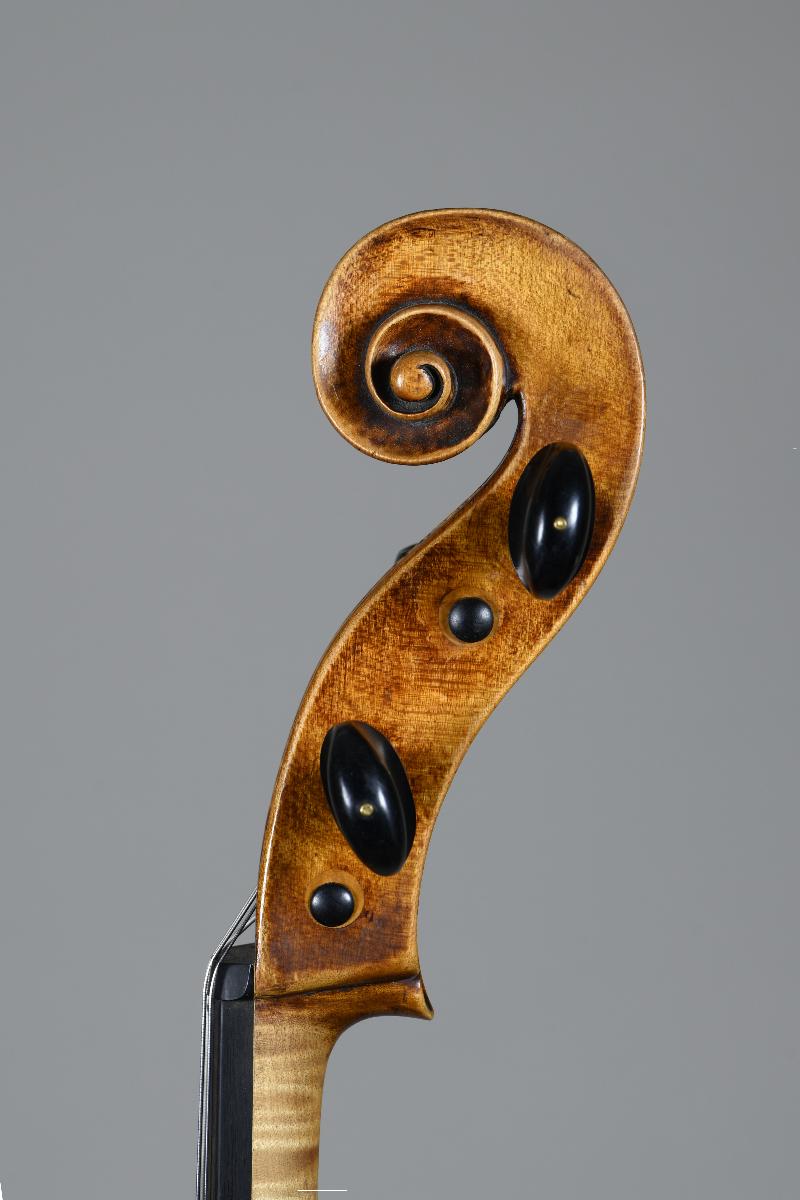 Violoncello