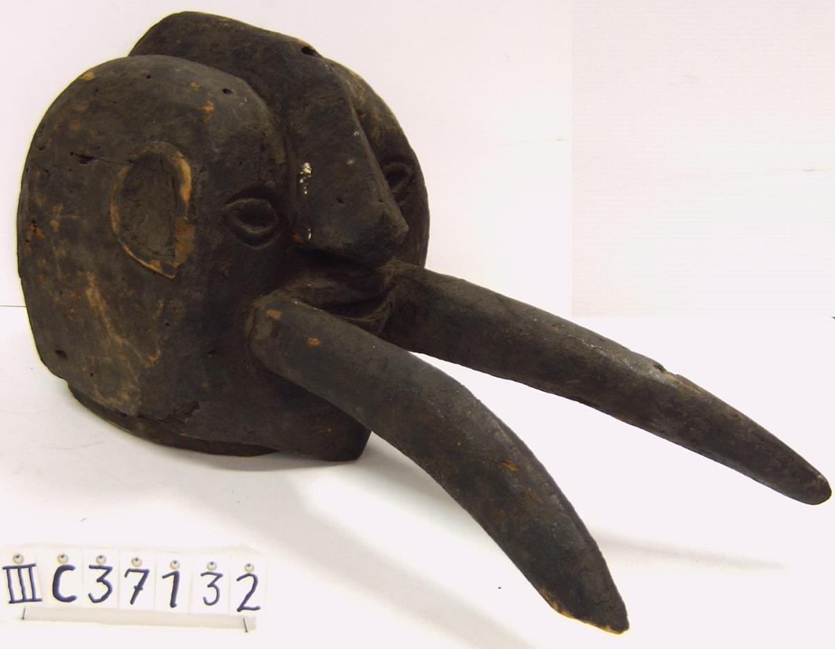 Elefant