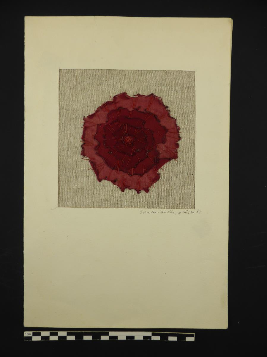 Schmelz-Studie