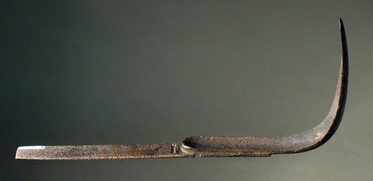 Strigilis