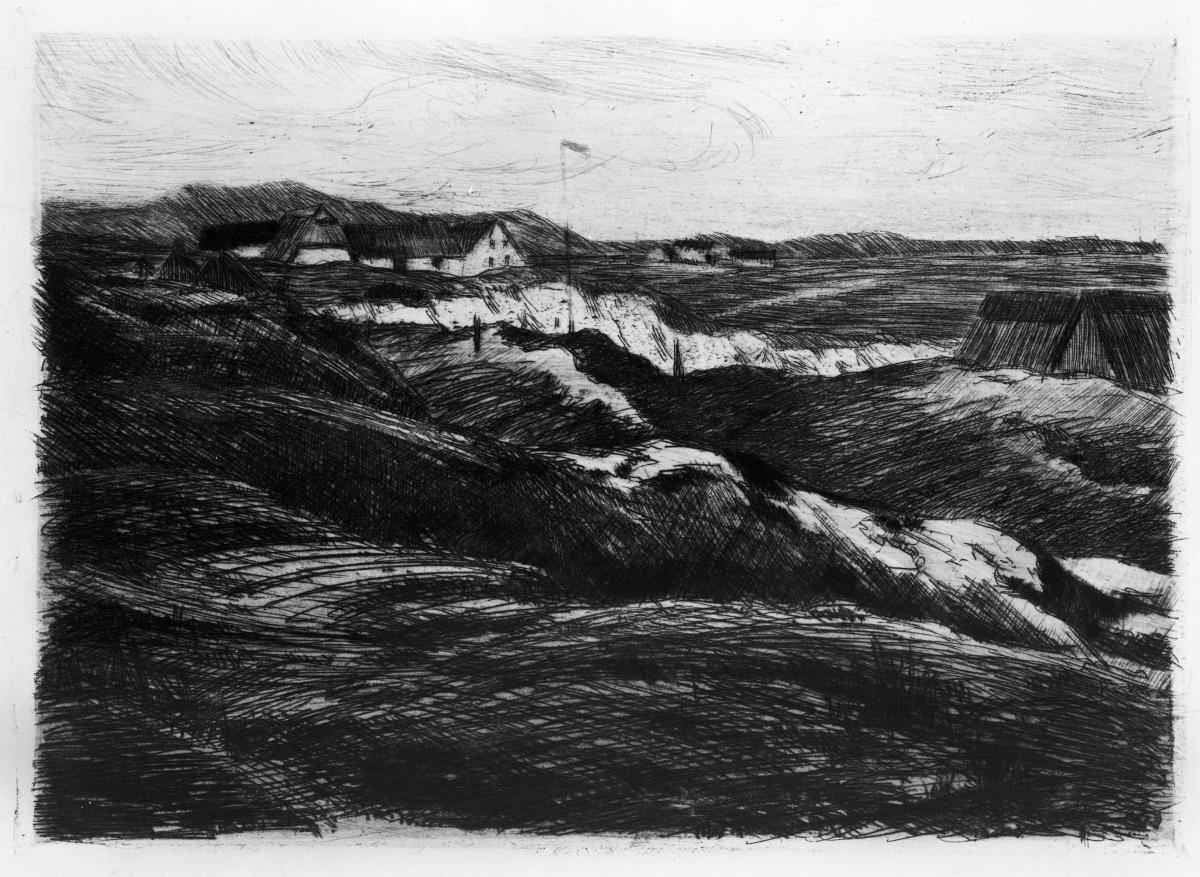 Dünenlandschaft