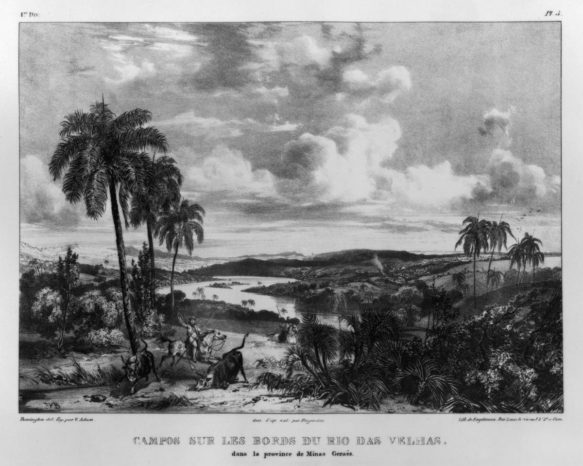 „Campos sur les bords du Rio das Velhas dans la province de Minas Geraës“ (Das Gebiet an den Ufern des Rio das Velhas)