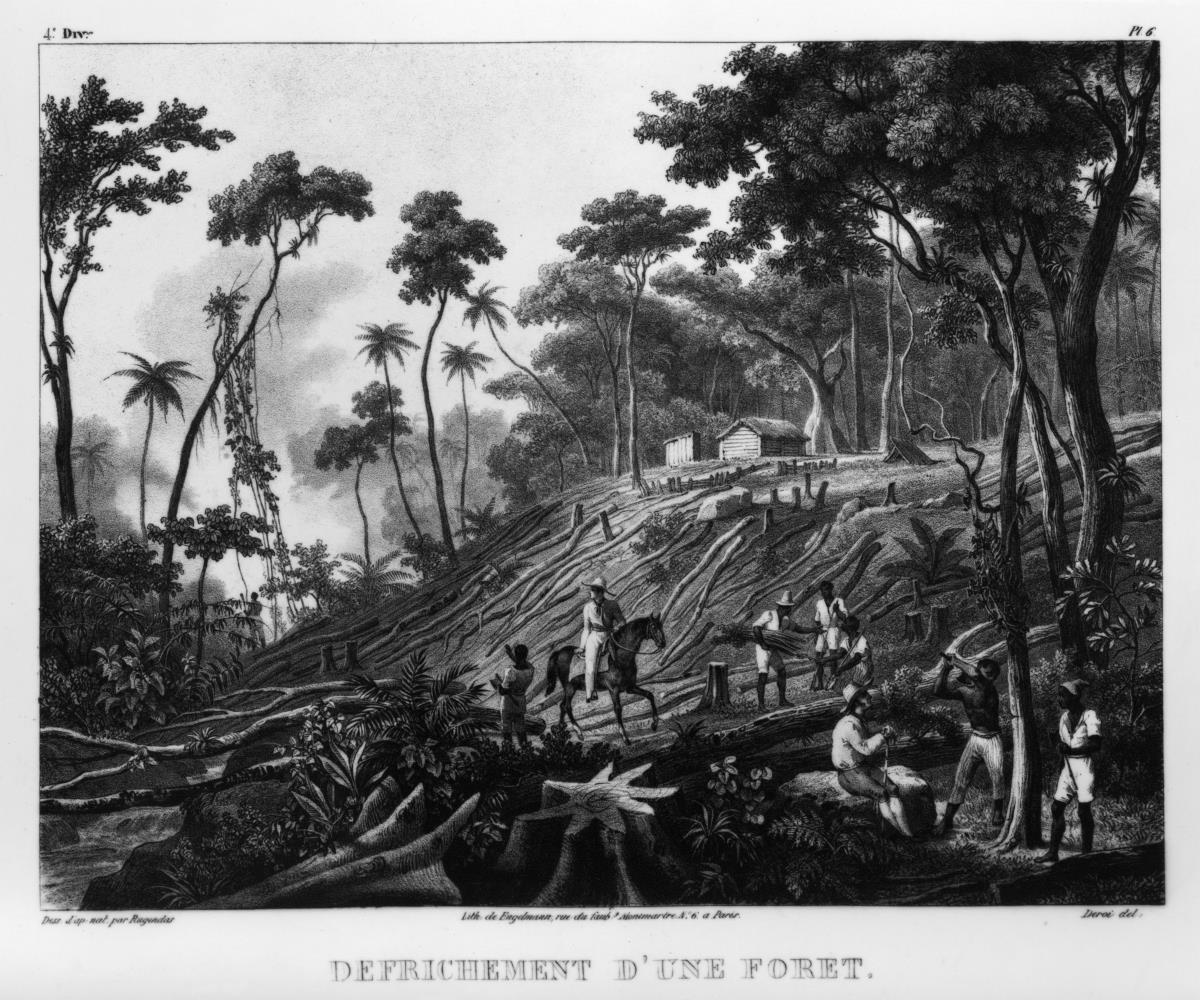 „Défrichement d´une fôret“ (Urbarmachung eines Waldes durch Rodung eines Hanges)