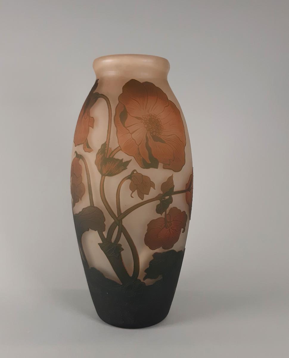 Vase mit Garten-Pfingstrose