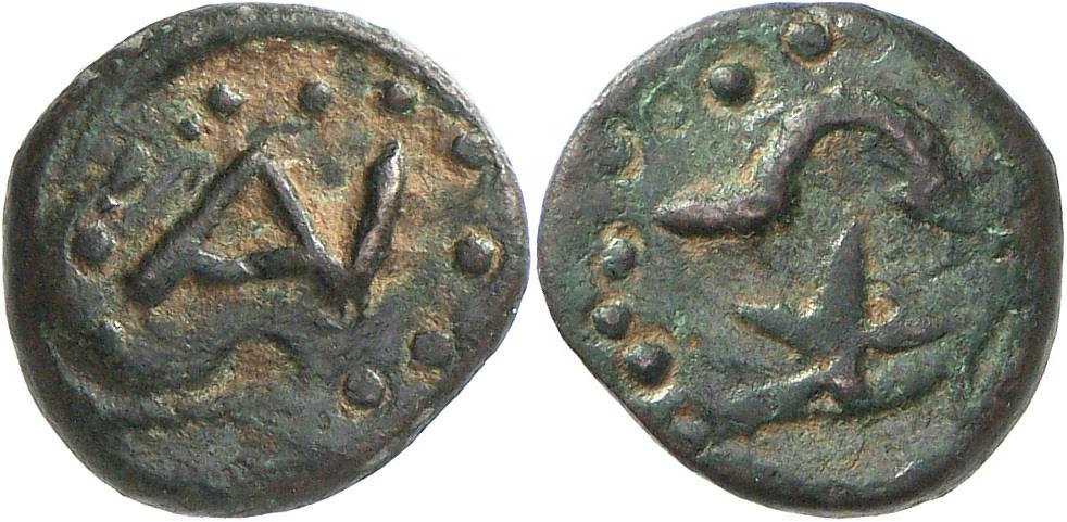 Anopolis