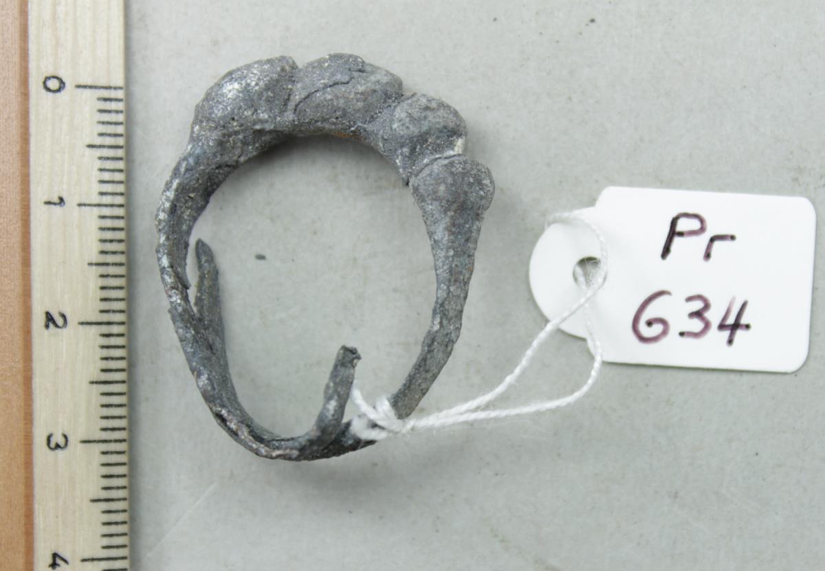 Fingerring