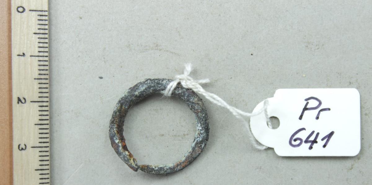 Fingerring