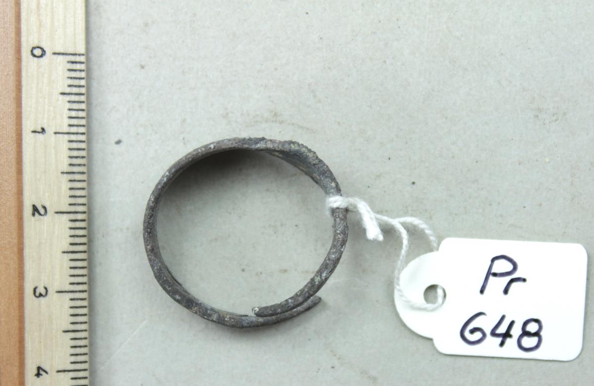 Fingerring