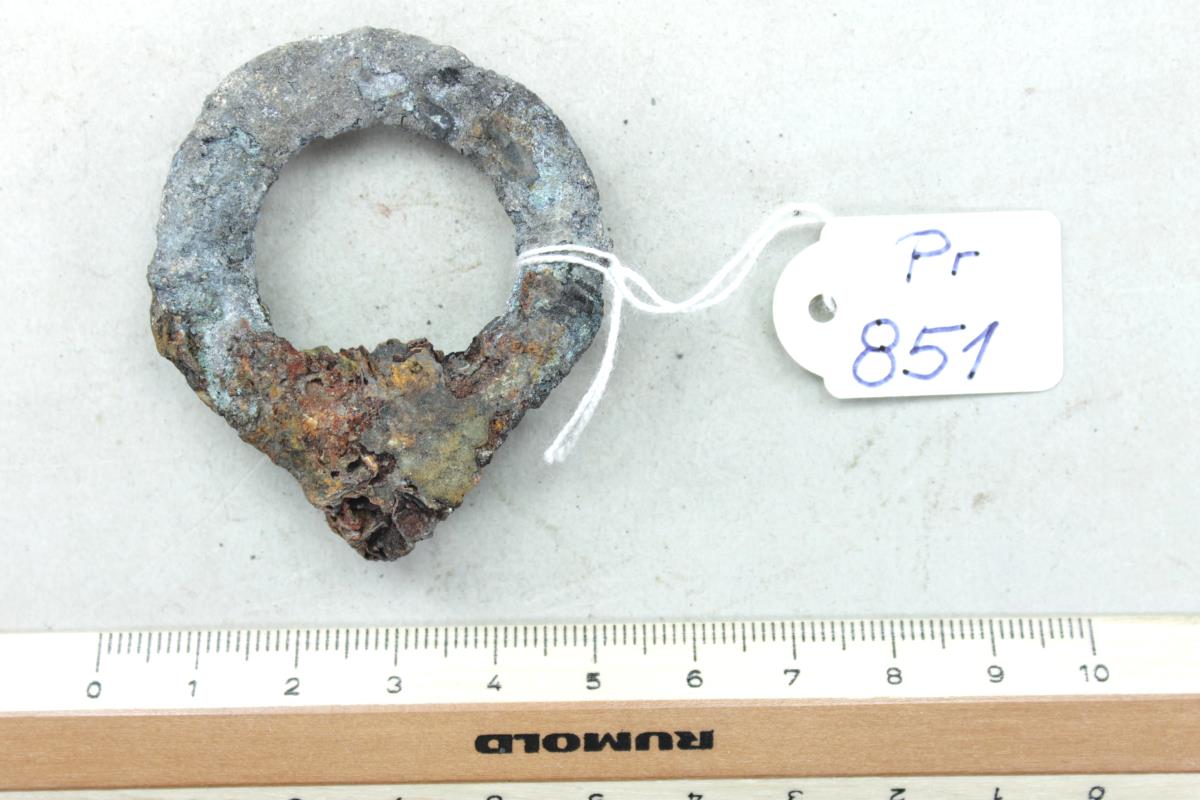 Ringfibel