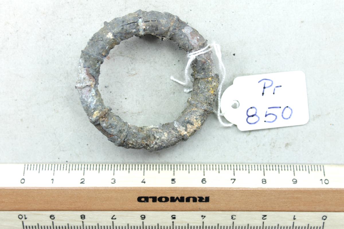 Ringfibel