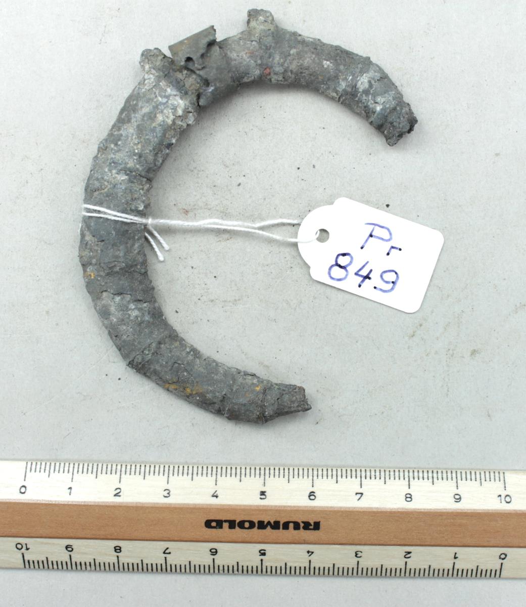 Ringfibel