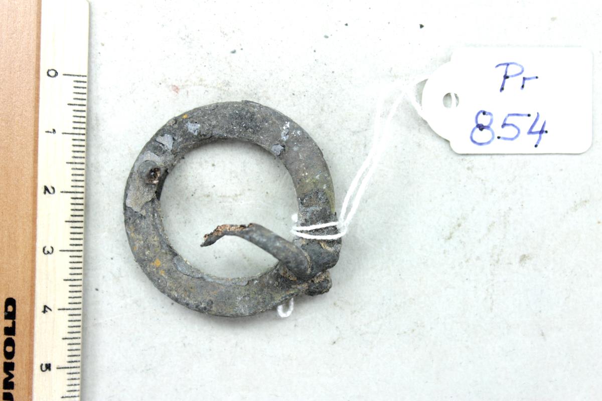 Ringfibel