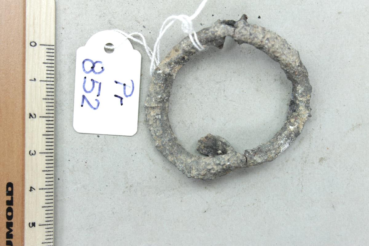Ringfibel