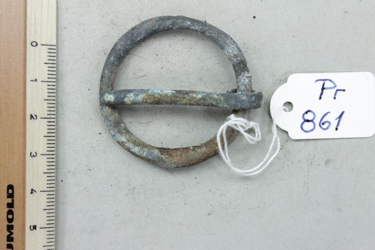 Ringfibel