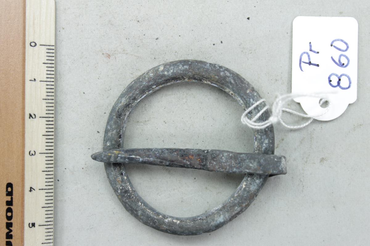 Ringfibel