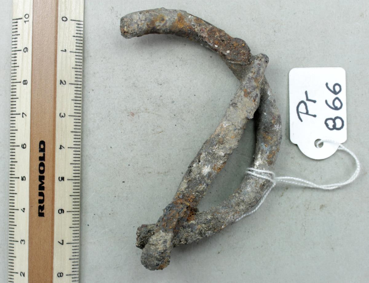 Ringfibel