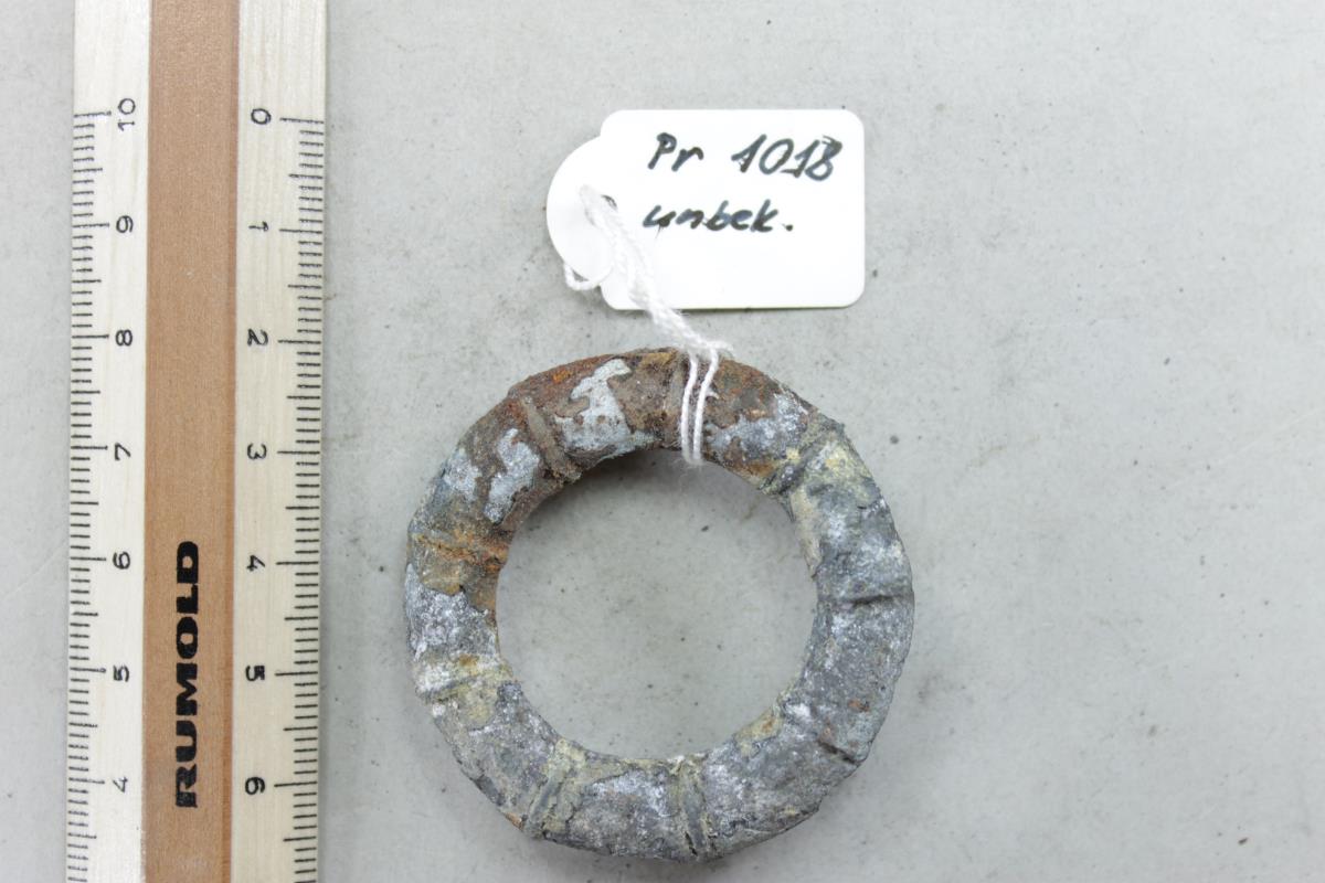 Ringfibel